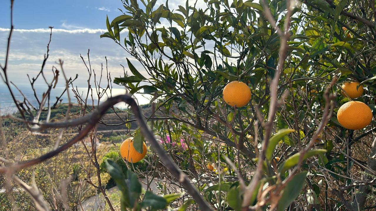 El Paraiso De サロブレーニャ エクステリア 写真